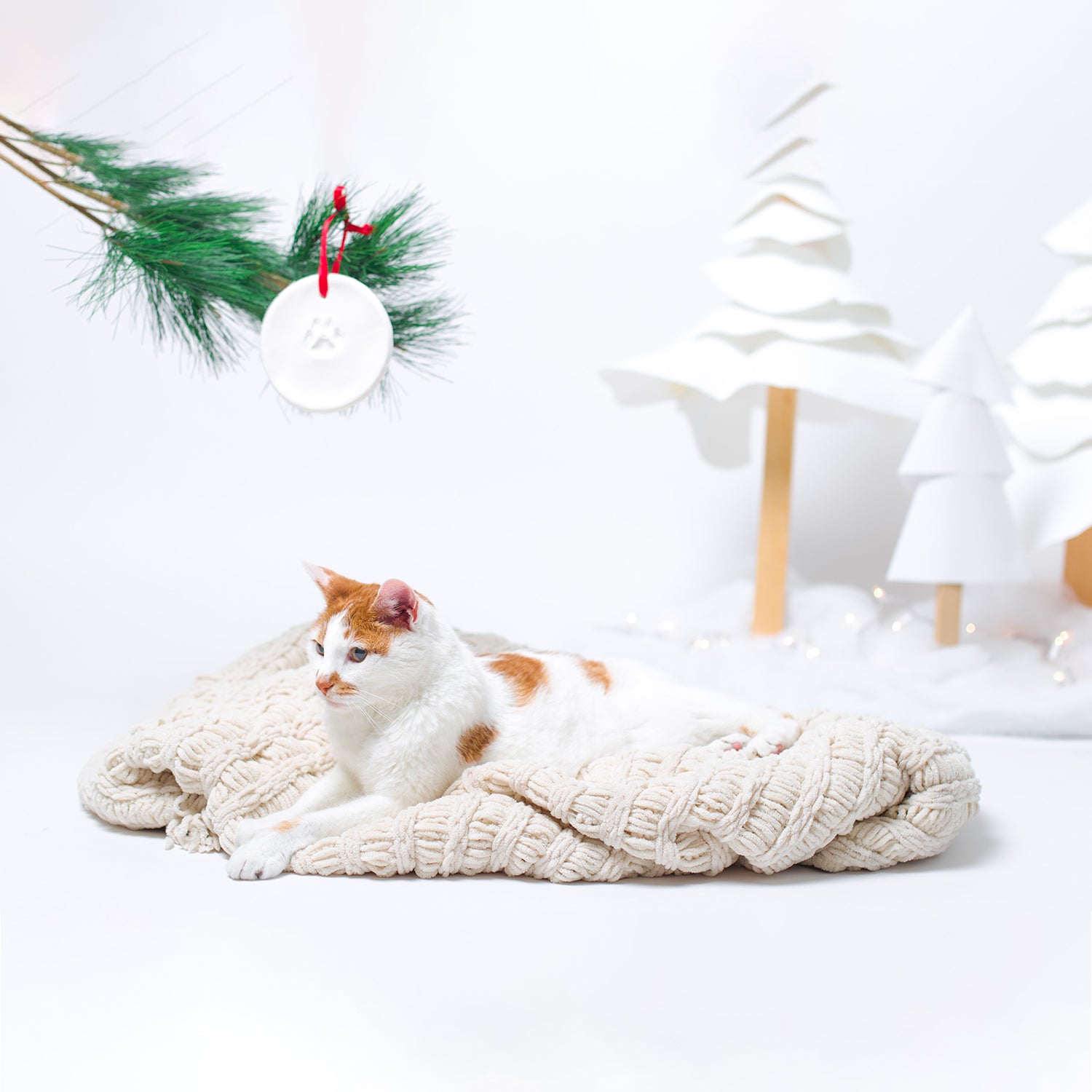 Pawprints ornament