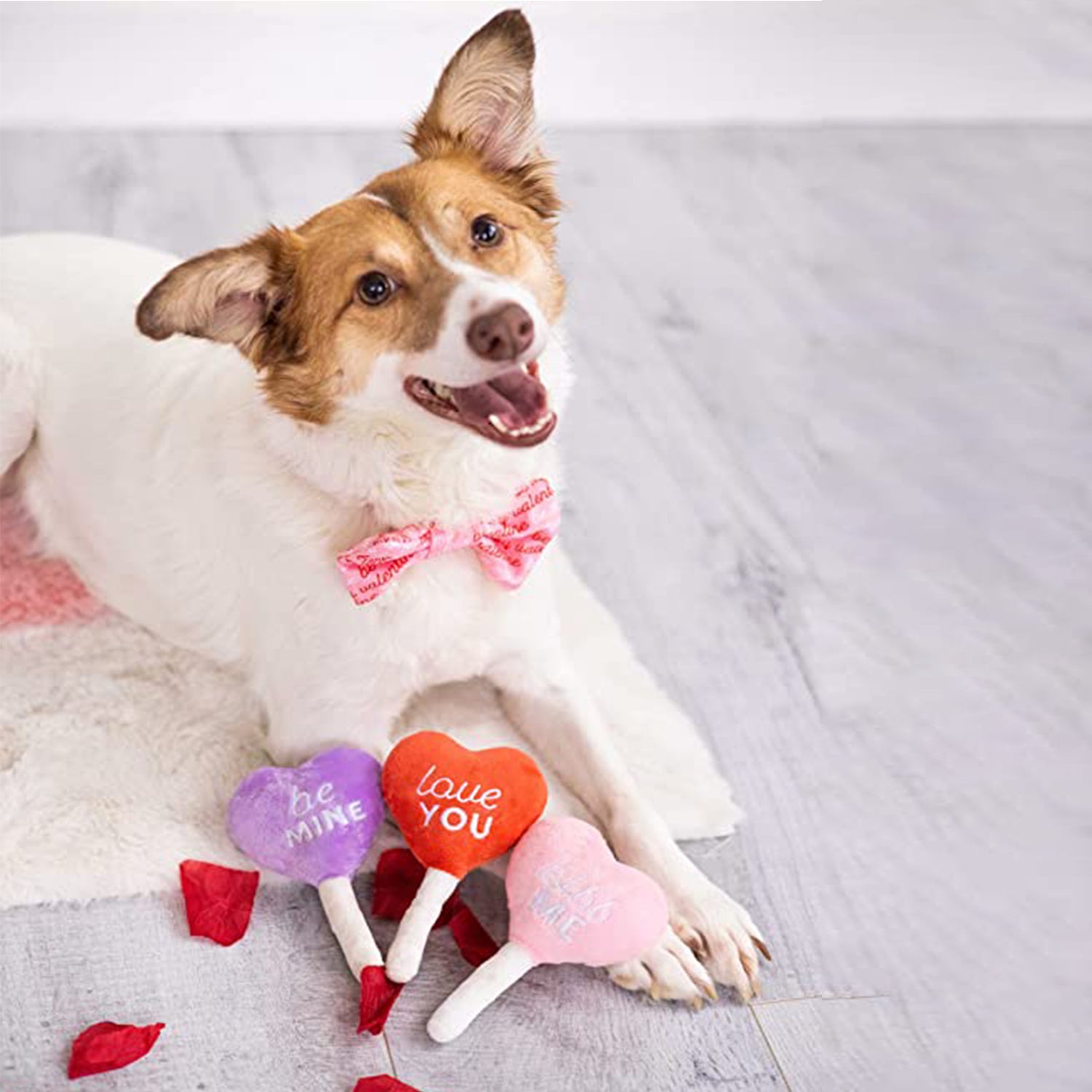 Puppy love plush set