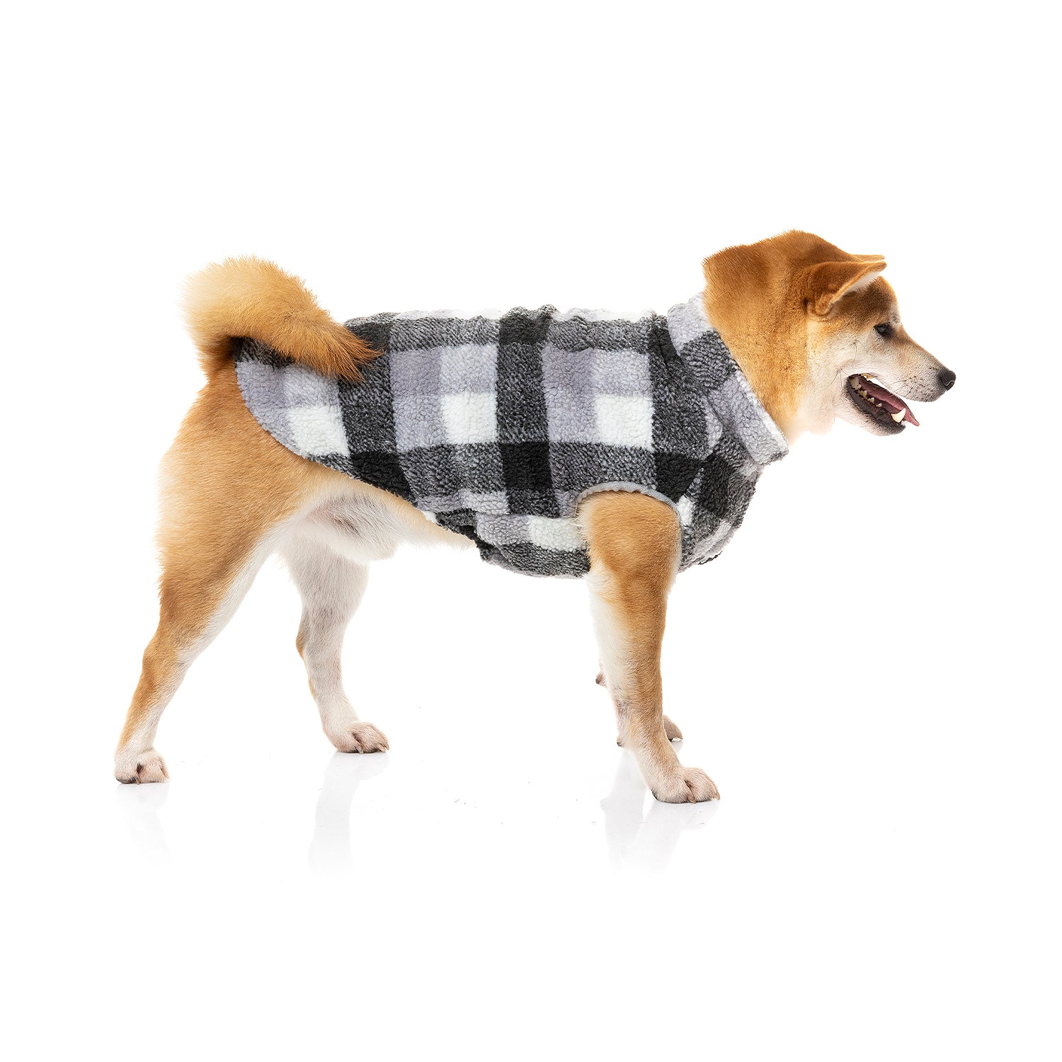 The lumberjack