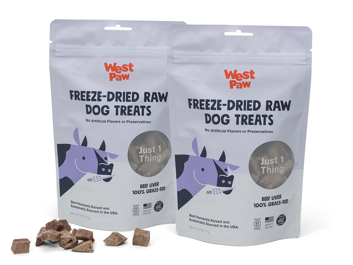 Freeze-dried raw dog treats