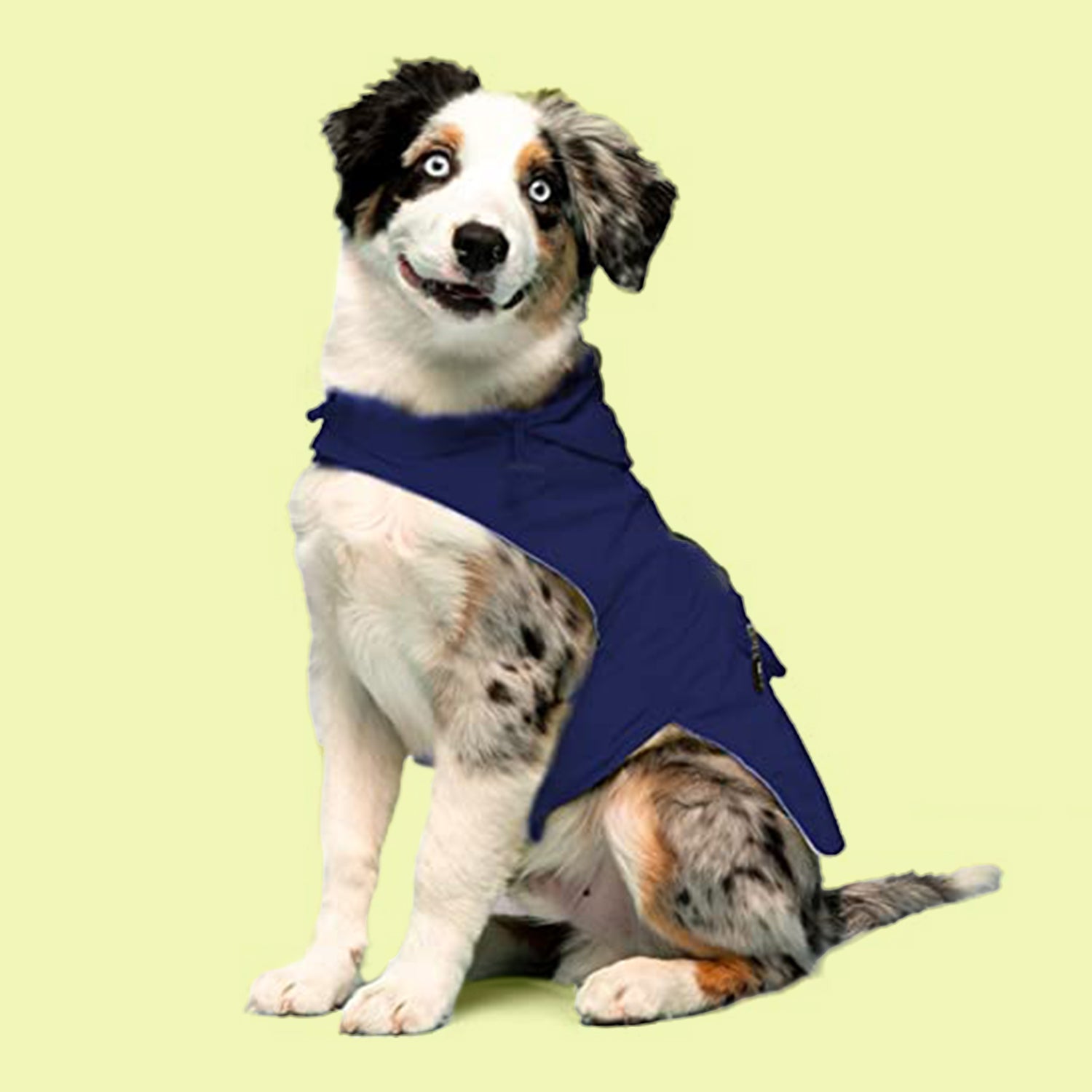 Packaway raincoat navy