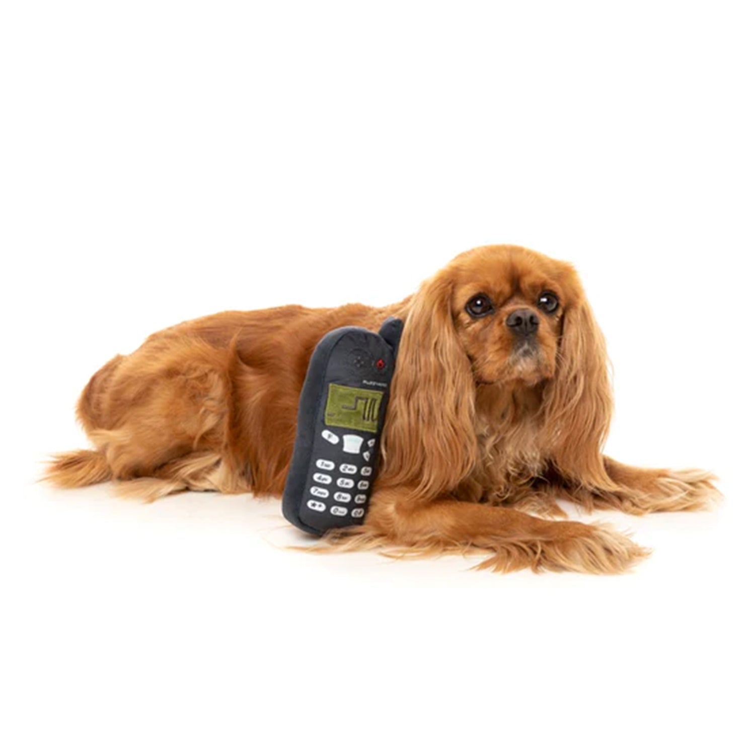 Nokidog