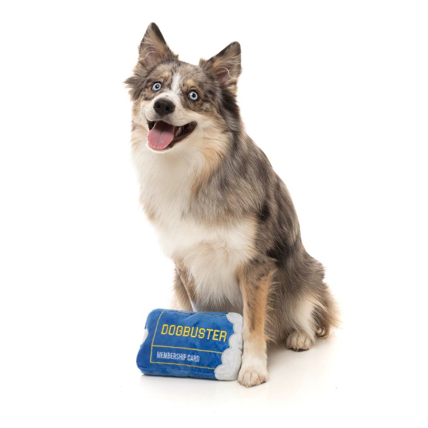 Dogbuster card
