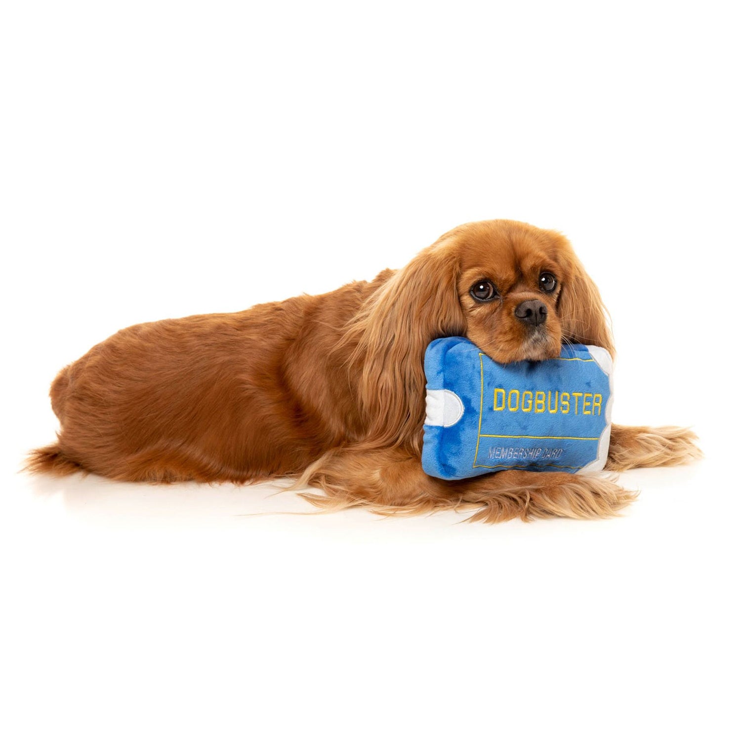 Dogbuster card