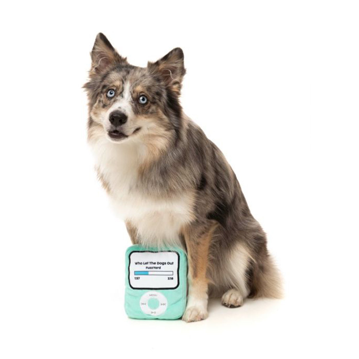 iPawd