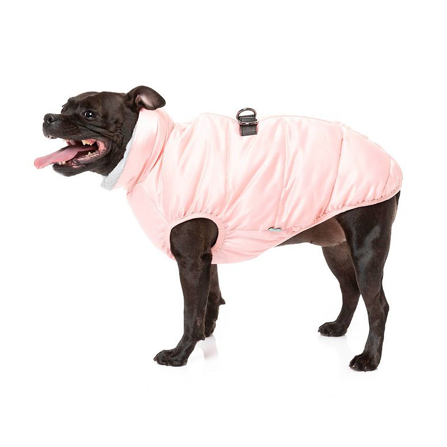 The Eastcoast harness jacket
