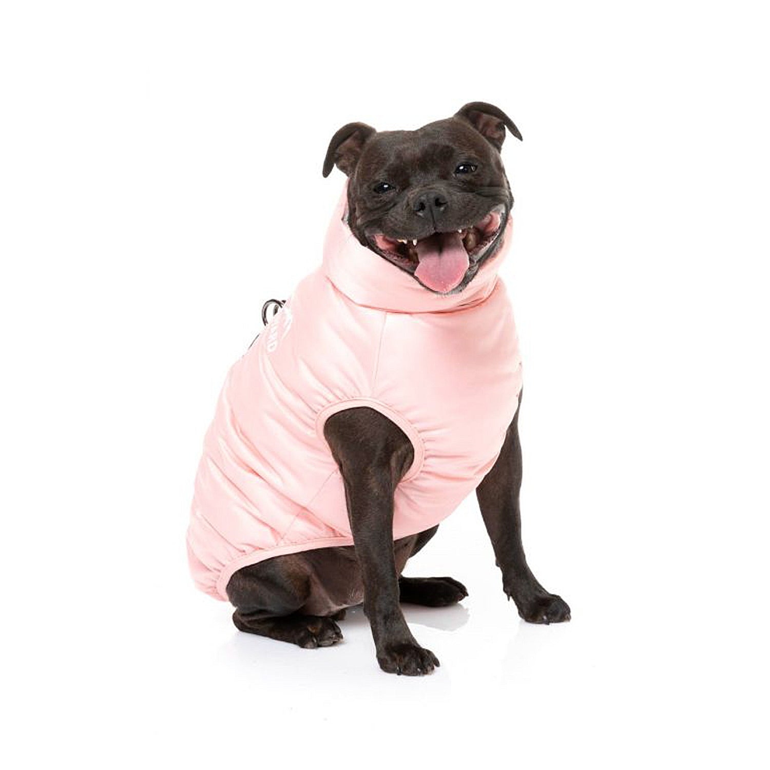 The Eastcoast harness jacket