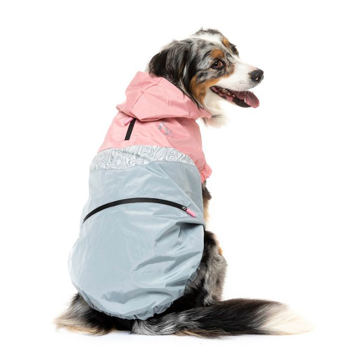 The seattle jacket