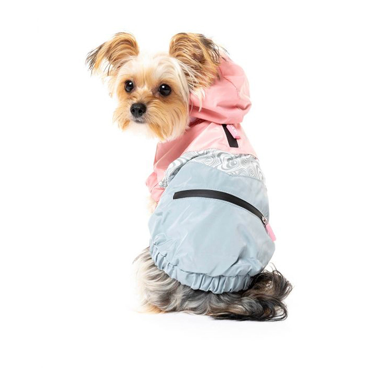 The seattle jacket