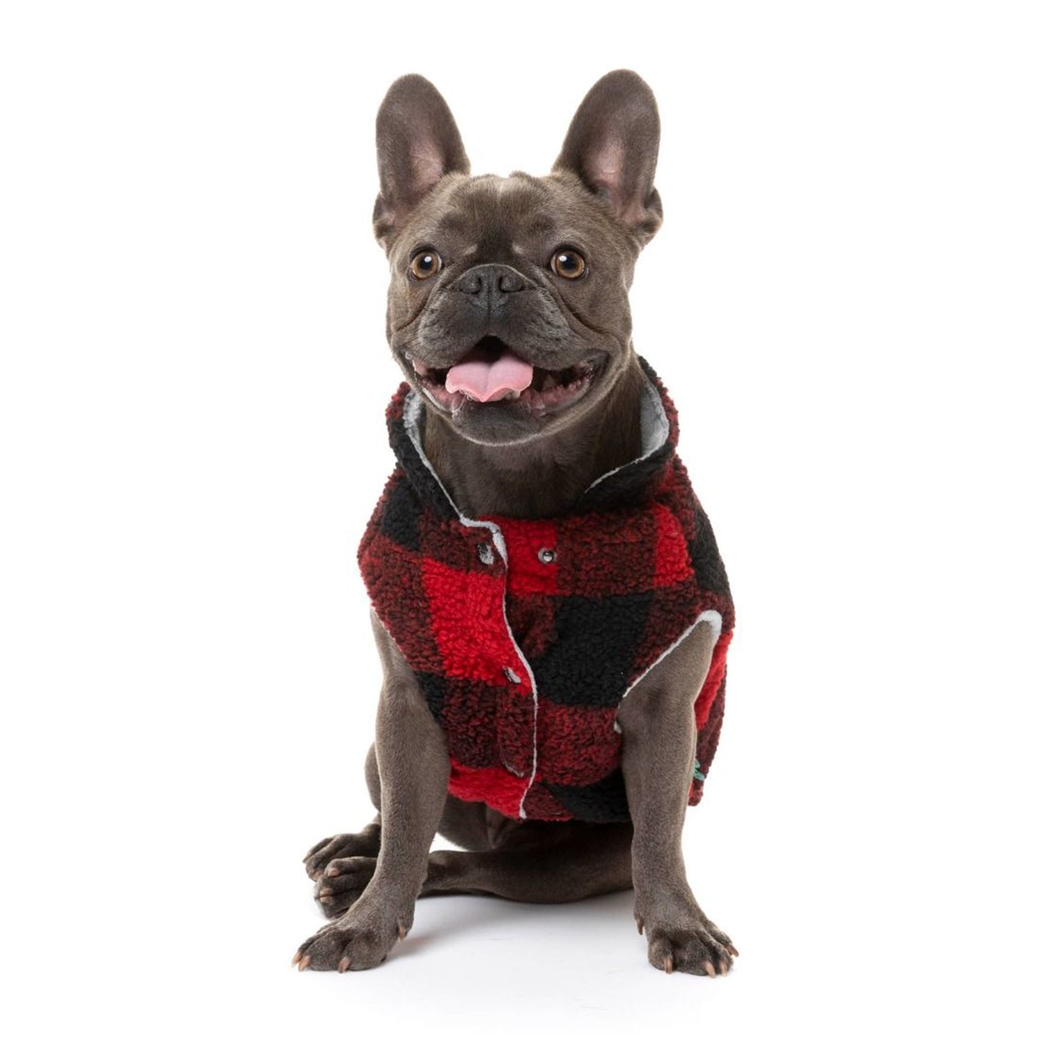 The lumberjack