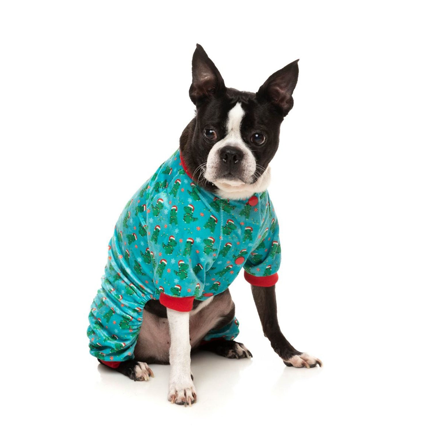 Tree rex pajamas