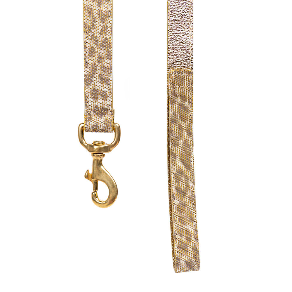 Dog Leash Leopard