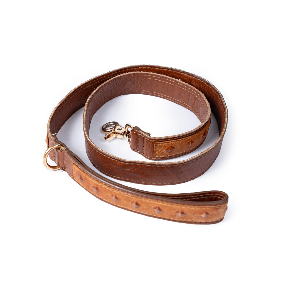 Dog Leash Beige