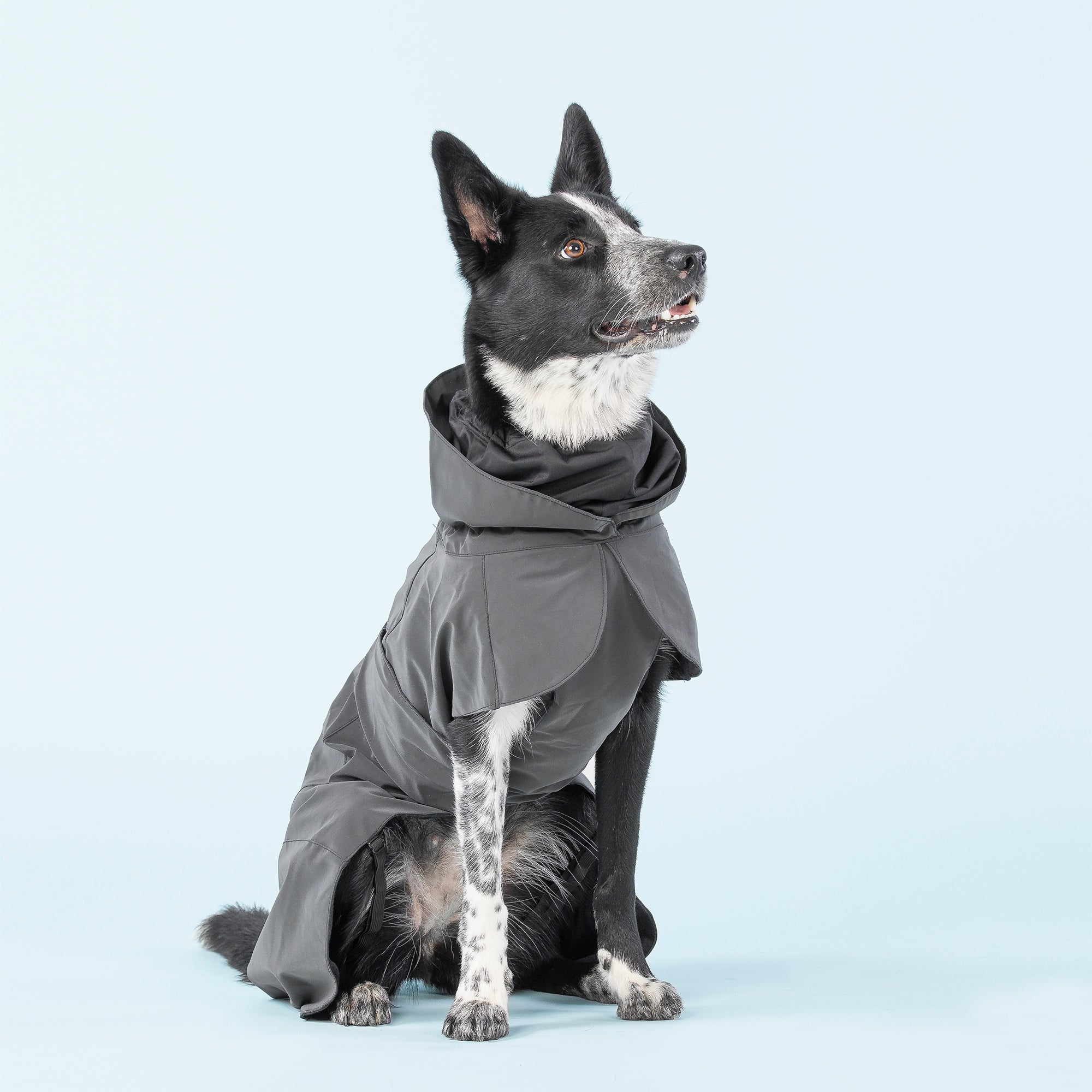 Visibility raincoat