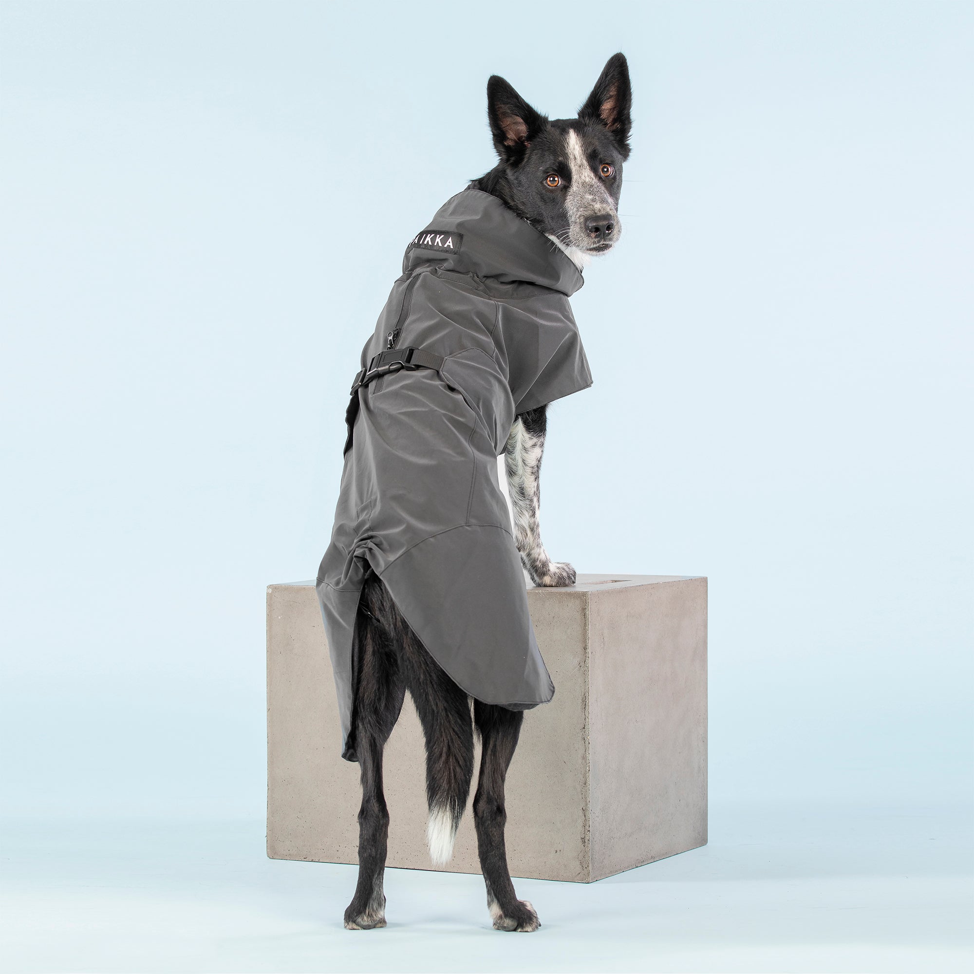 Visibility raincoat
