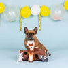 Branch out interactive dog toy
