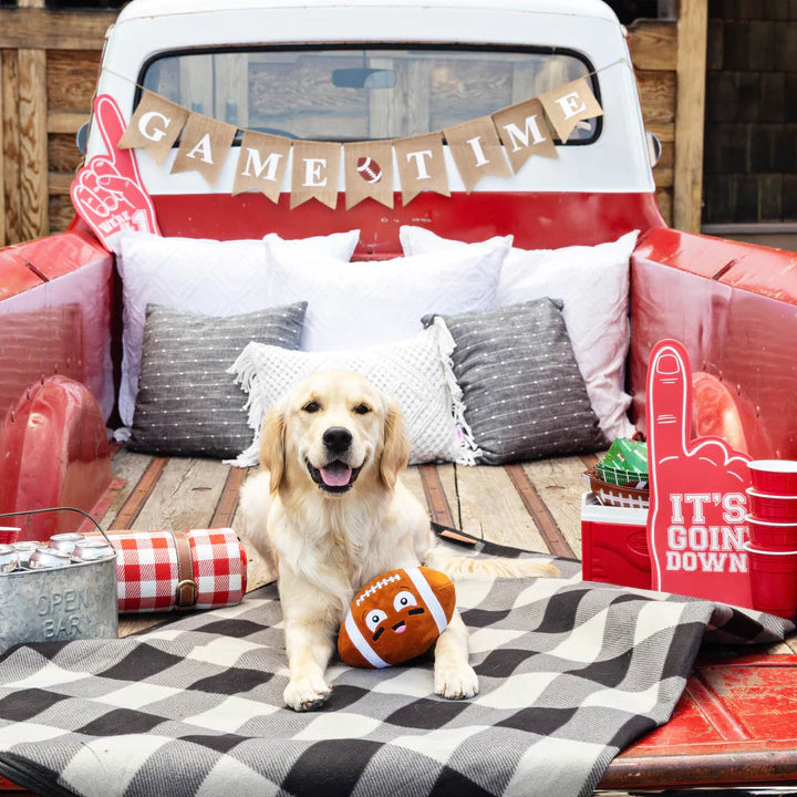 I wanna be a baller dog toy