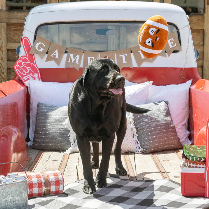 I wanna be a baller dog toy