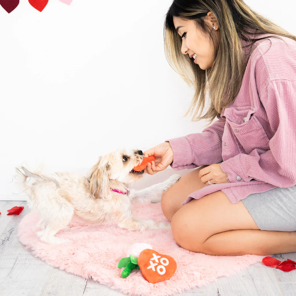 Yappy valentine plush set