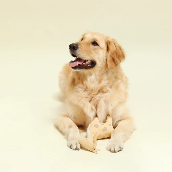 Giraffe dog toy