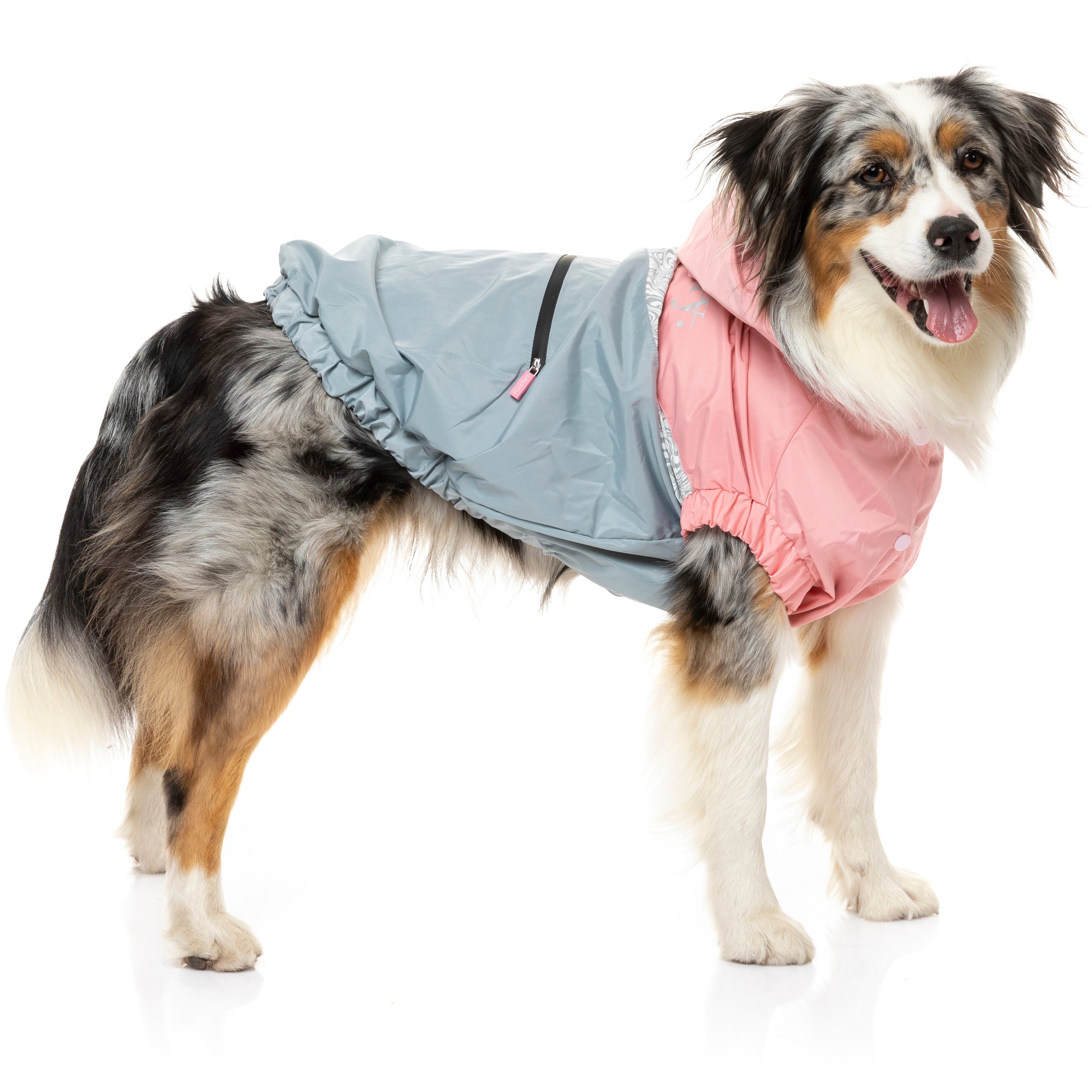 The seattle jacket
